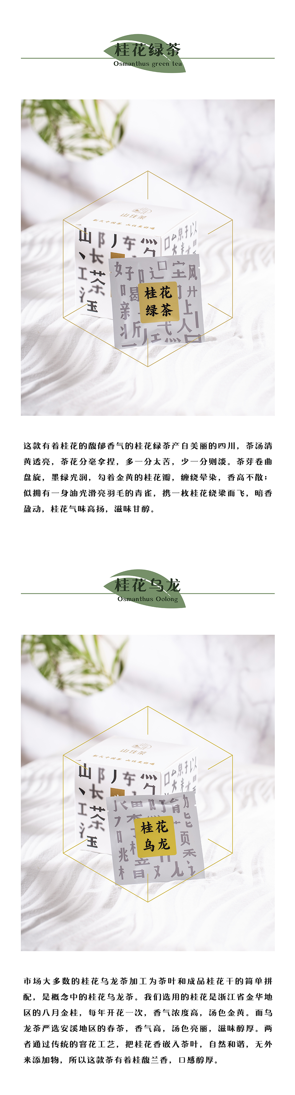 未标题-2_05.jpg