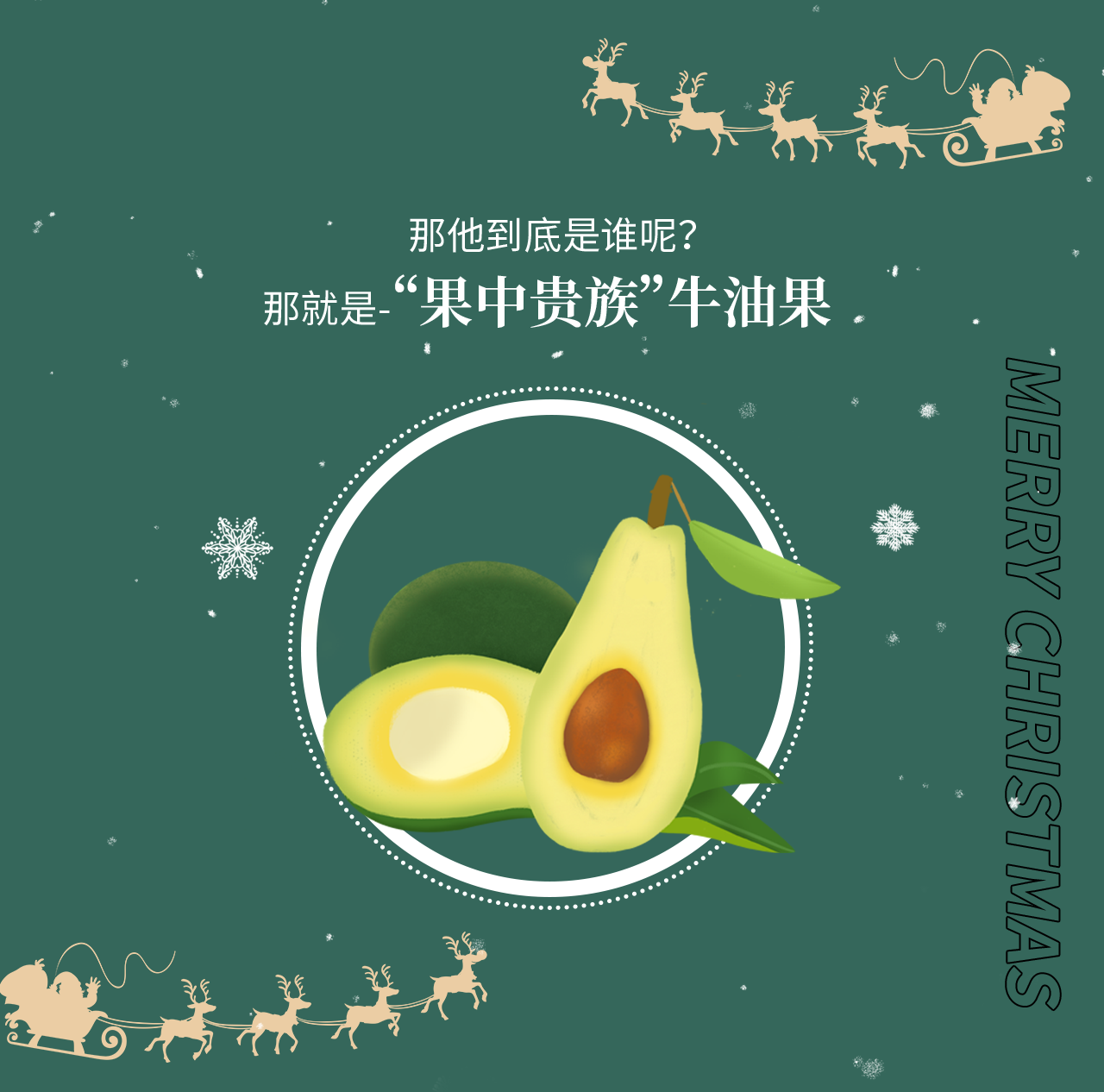 牛油果预热推文_04.png