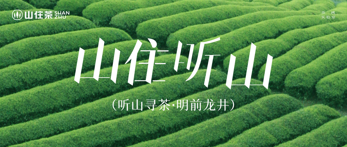 2025听山寻茶｜地理标志认证，浙江越州·龙井